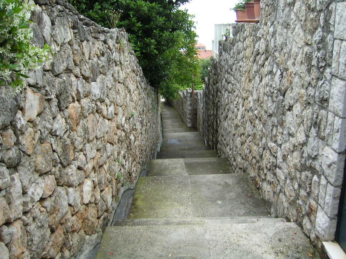 Palma *